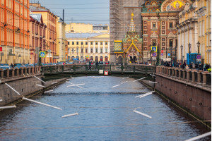 Классический Санкт-Петербург (с пн, 8 дн)