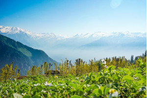 Алтайский экспресс