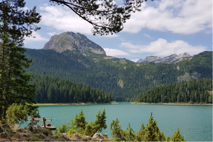 Душа Алтая - Лайт