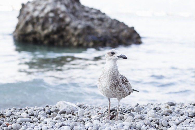 Белые ночи у самого Белого моря