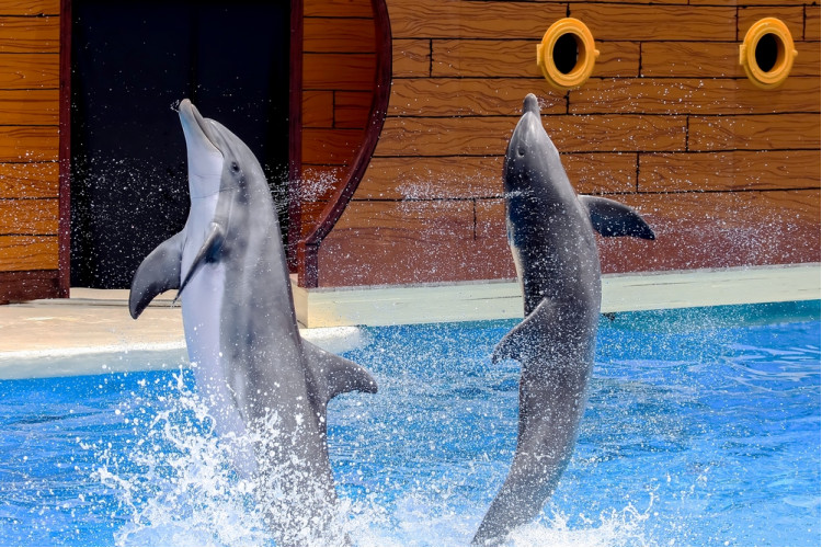 Новосибирск – город научных устремлений