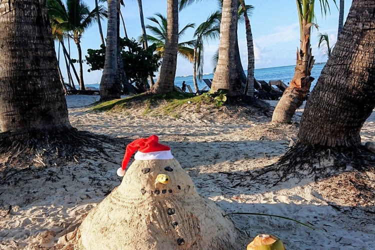 Новый год под пальмами