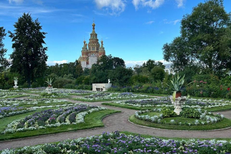 В Петербург с детьми!