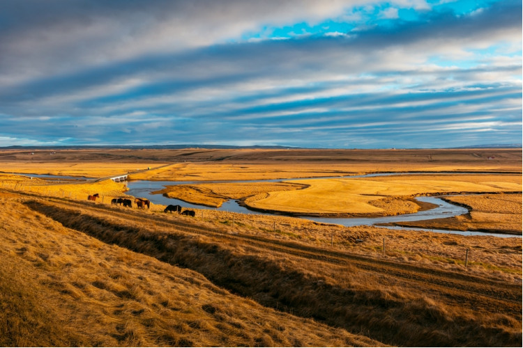 Просторы солнечной Калмыкии