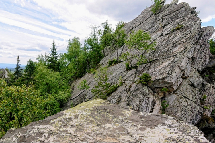 Златоуст: и вкусно, и красиво!