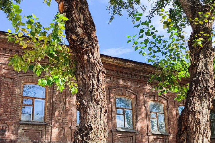 Как калачи в Челябинск пришли