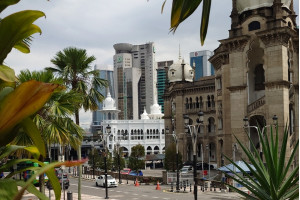 ДОБРО ПОЖАЛОВАТЬ В ДЖУНГЛИ 